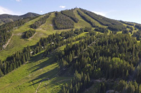 The Pines at Meadow Ridge A12 Condo